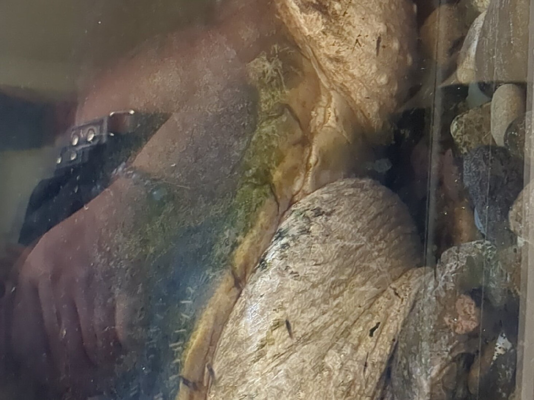 Museum of Nature & Science-拉斯克鲁塞斯必去景点