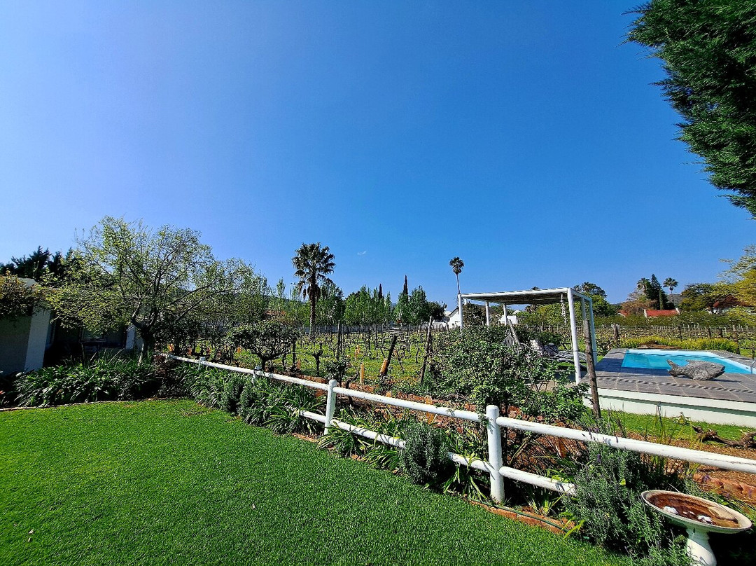 Vineyard Country House主图