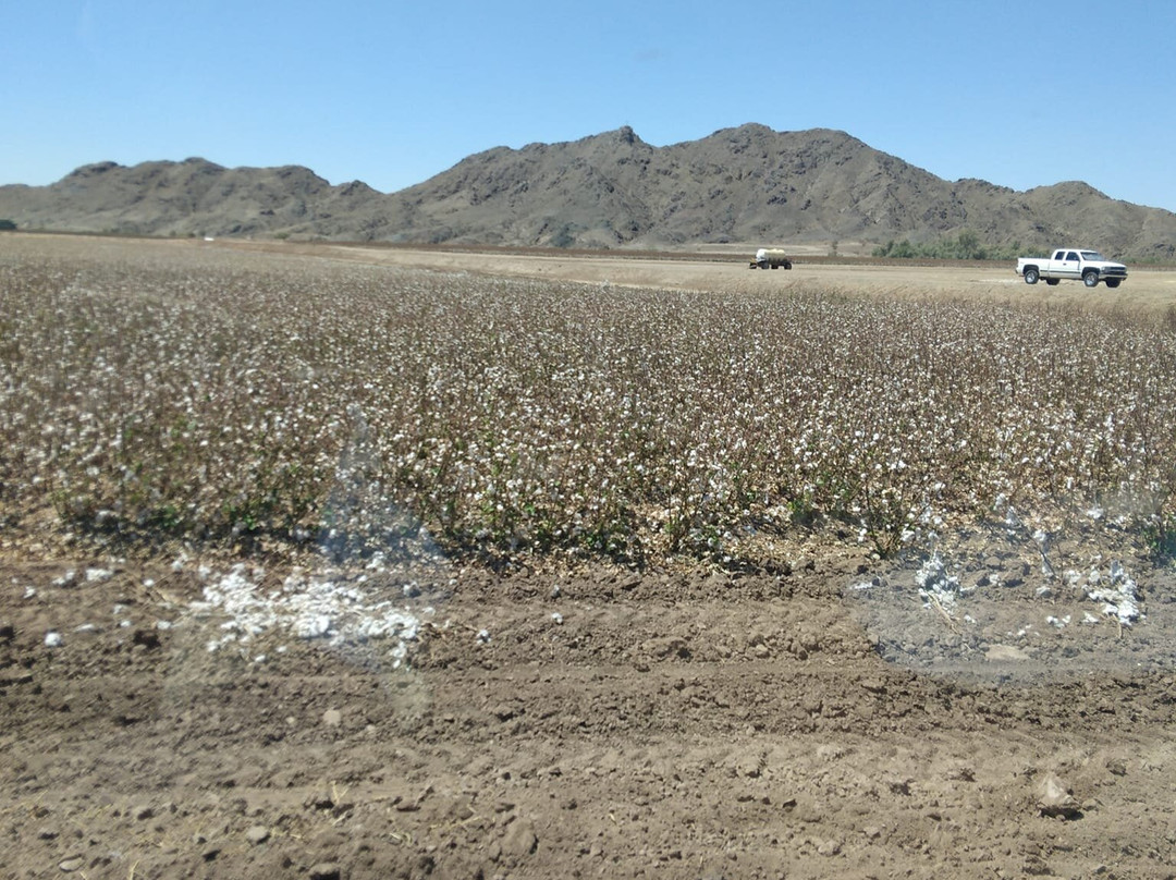 Loren Pratt's Little Chapel-尤马必去景点