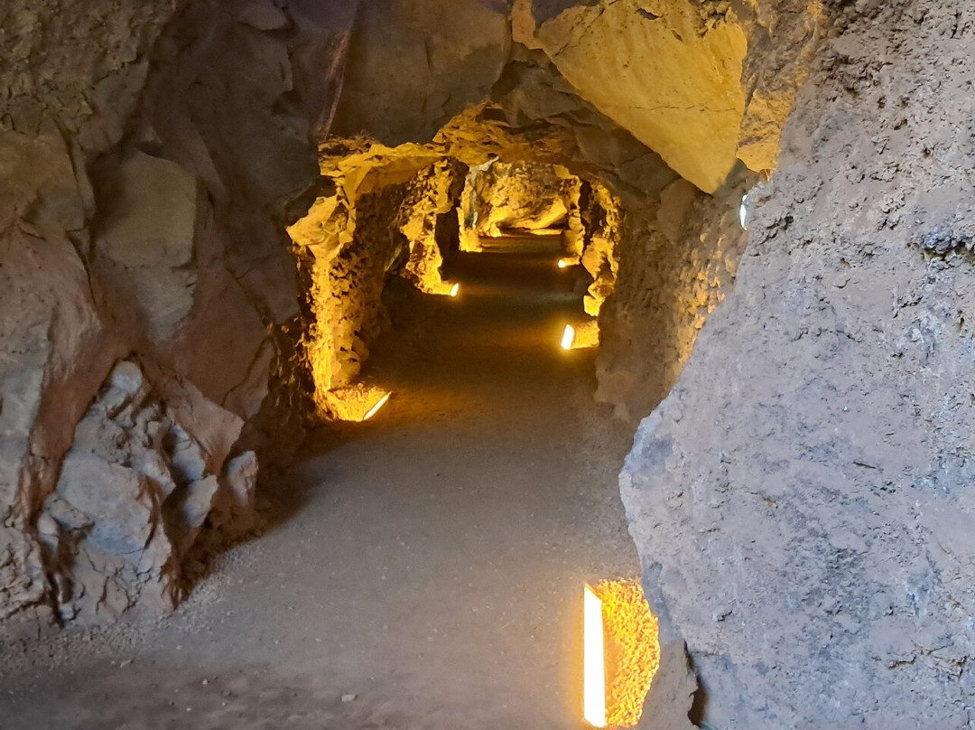 Ecomuseo de Guinea y Lagartario景点图片