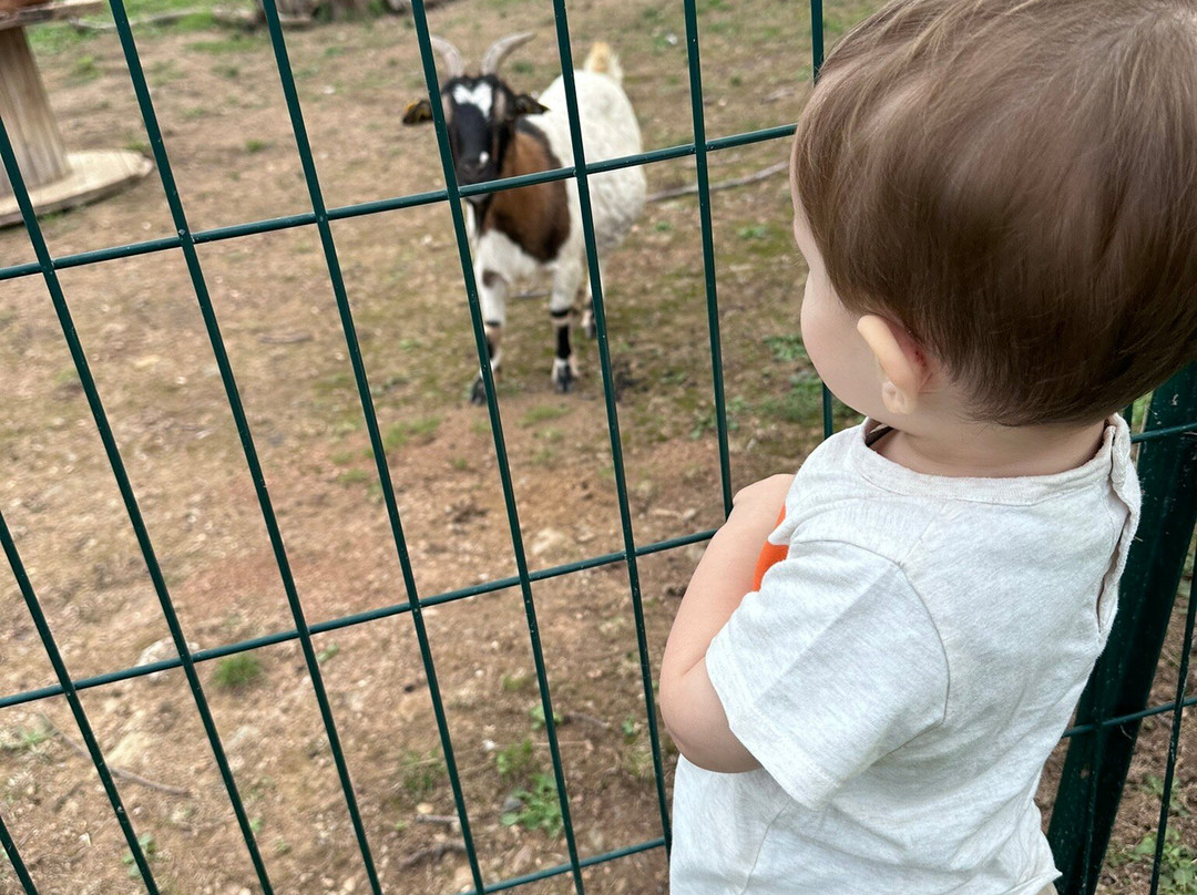 Corsica Zoo-Olmeta di Tuda必去景点