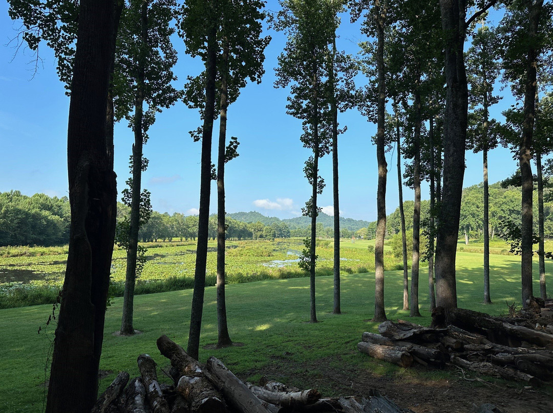 Deerwoode Reserve主图