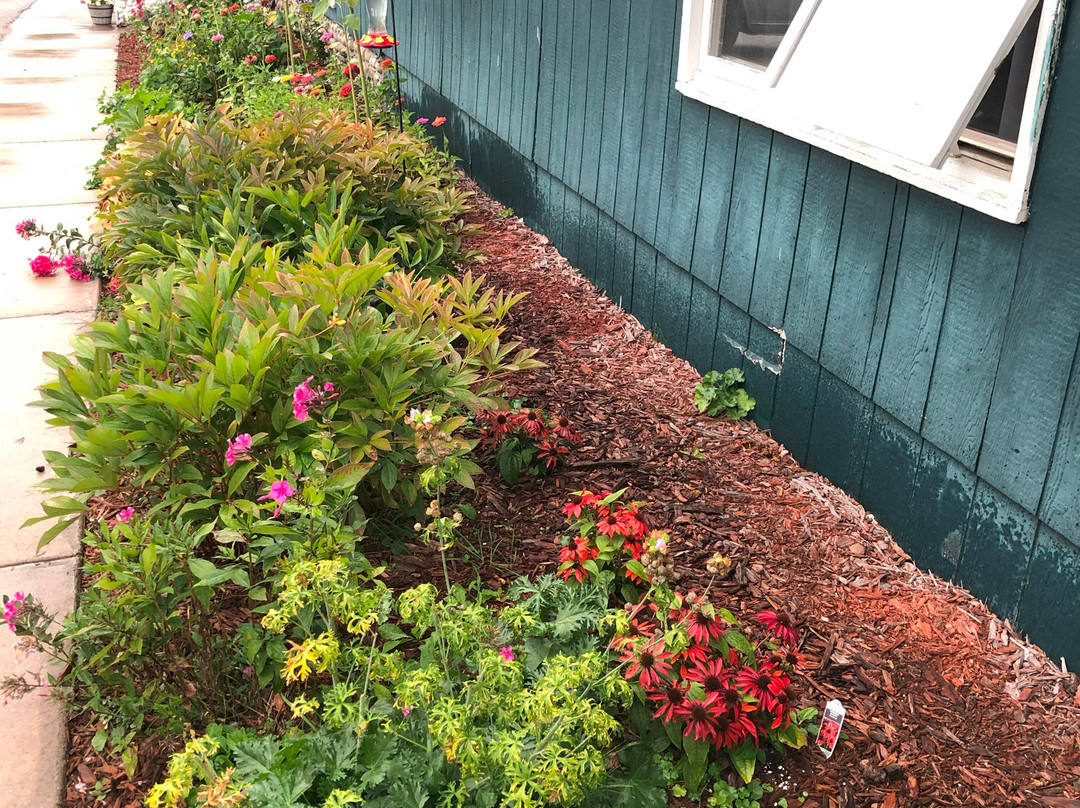 Tahquamenon Hotel主图