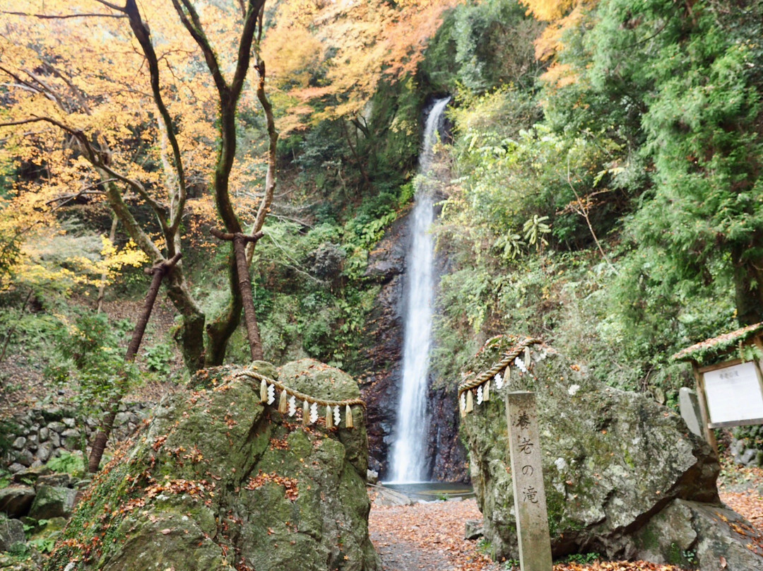 Yoro no Taki Falls-养老町必去景点