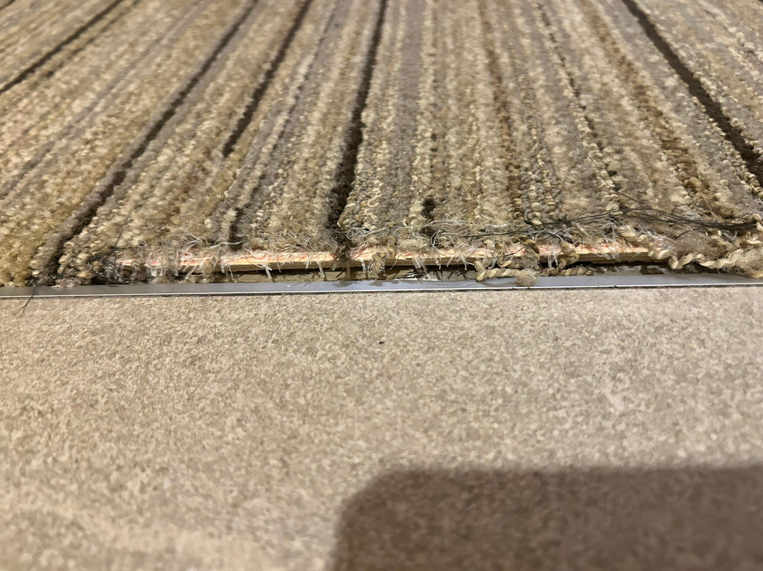 Future Inns Halifax主图