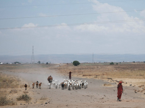 E & E Safaris-阿鲁沙必去景点