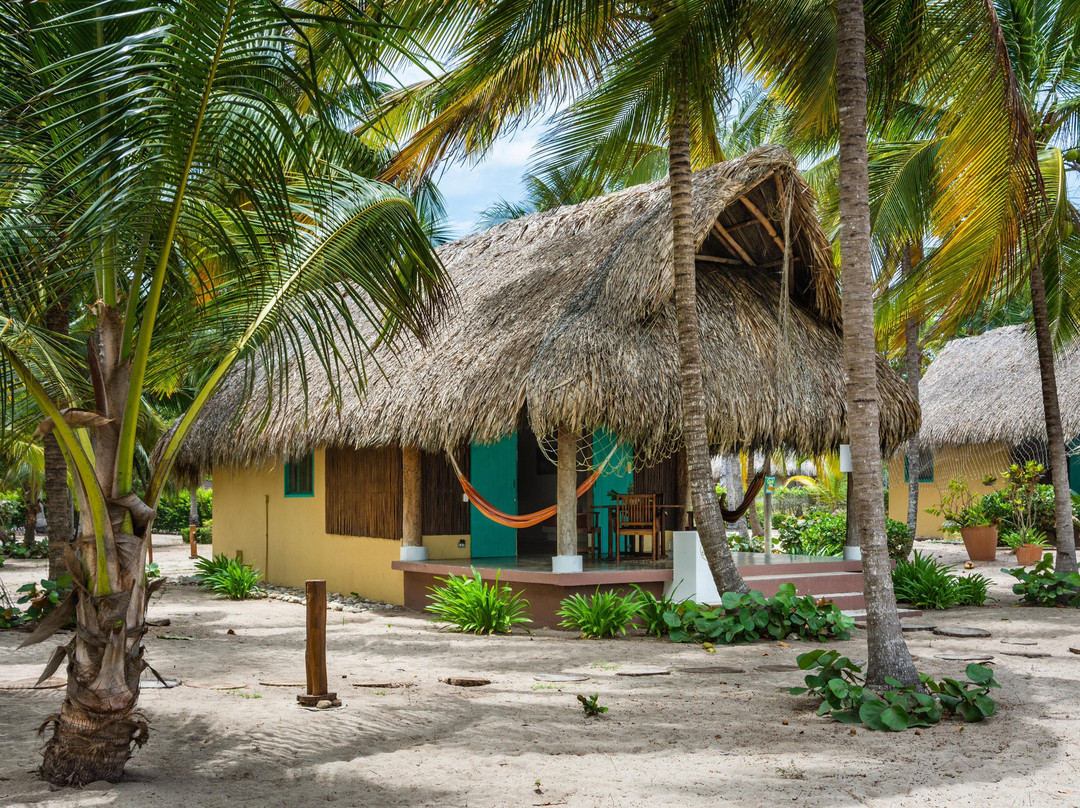 Aite Eco Resort主图