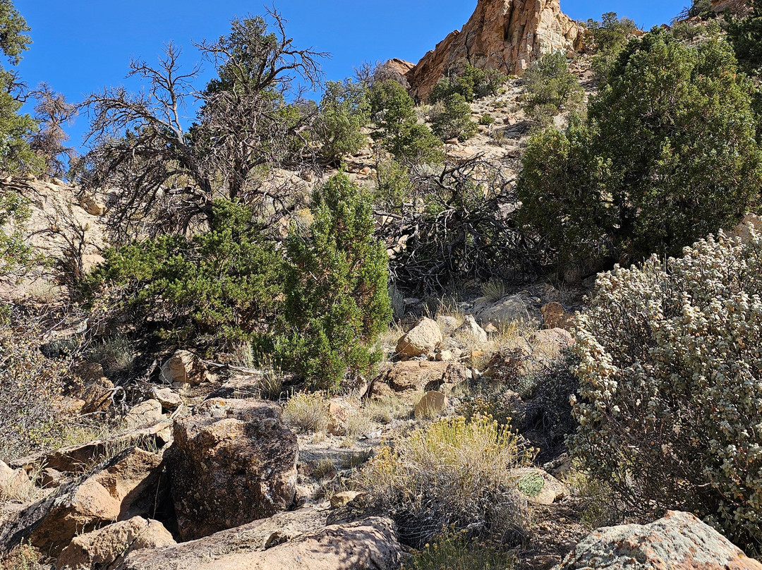 Escalante Petrified Forest State Park景点图片