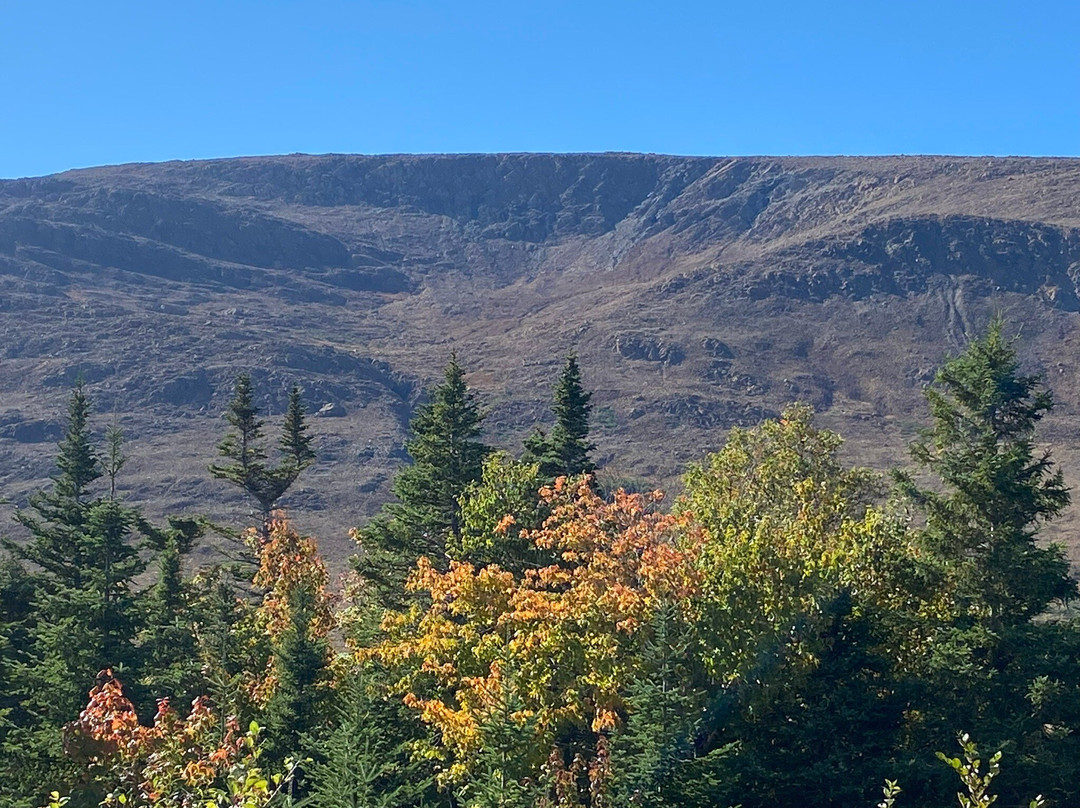 Gros Morne Transportation & Tours景点图片