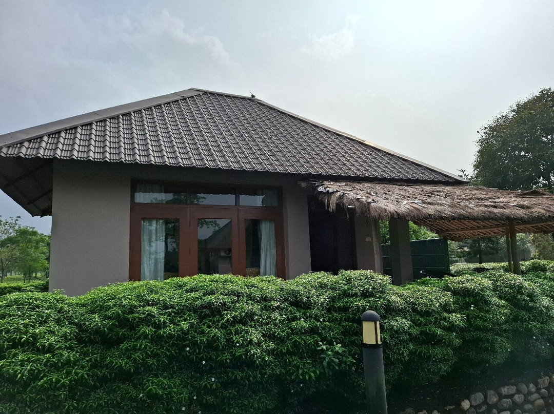 Musa Jungle Retreat主图