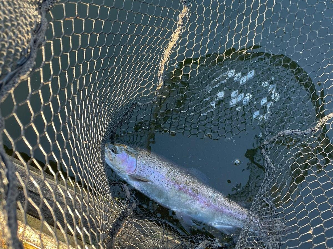 Birchwood Fishery-Drumquin必去景点