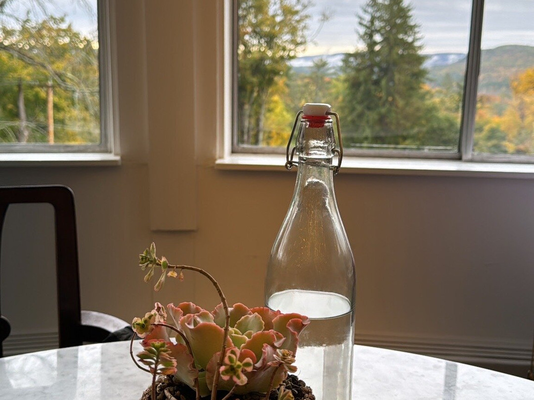 Apple Tree Inn主图