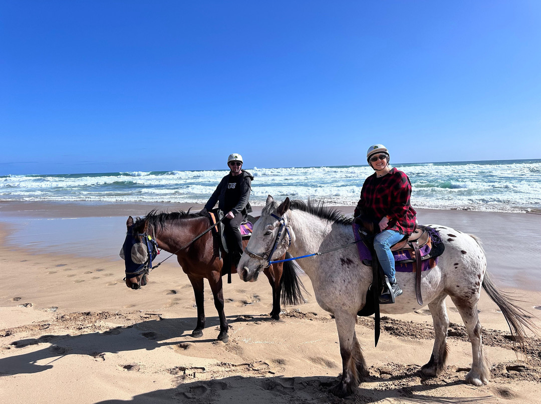 Gunnamatta Trail Rides景点图片