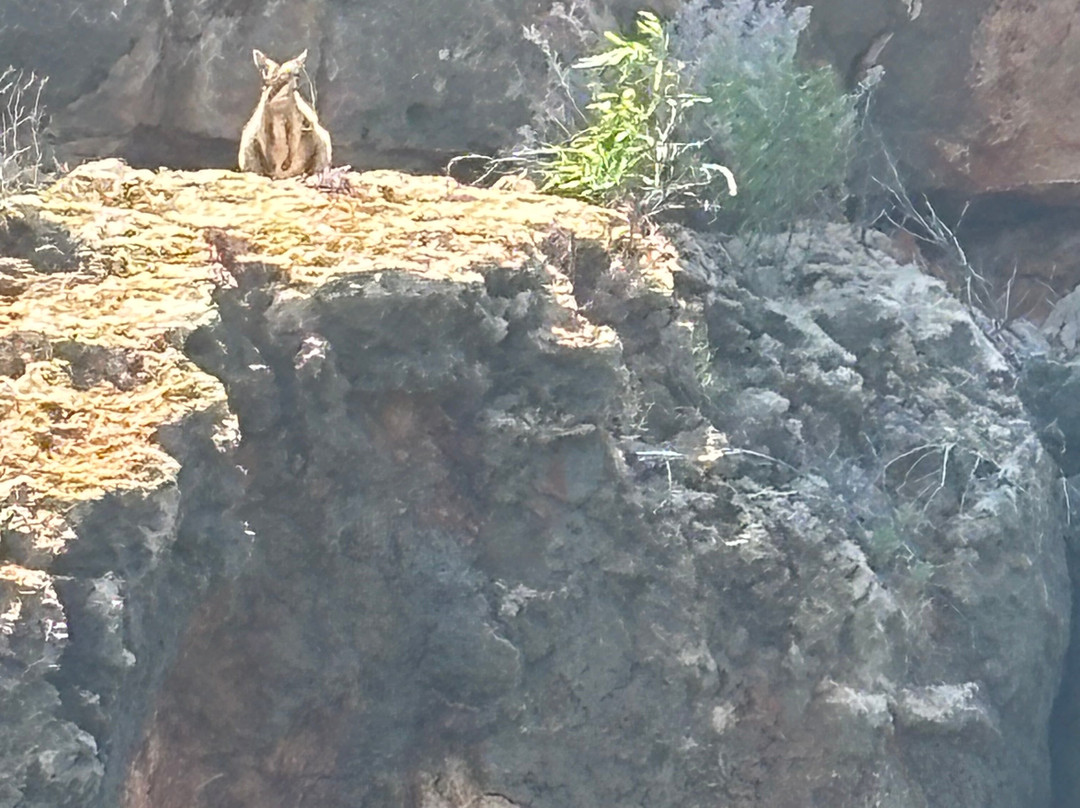 Yardie Creek-埃克斯茅斯必去景点