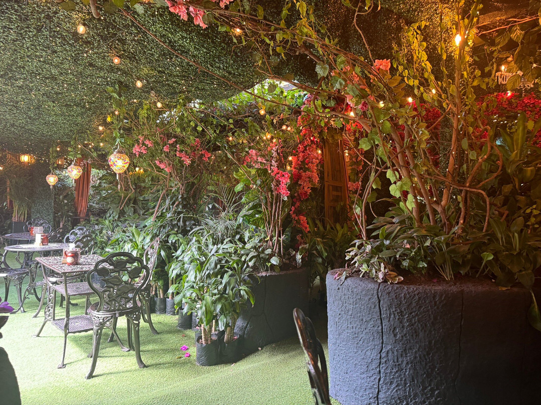 Museo del Chocolate-博亚卡必去景点