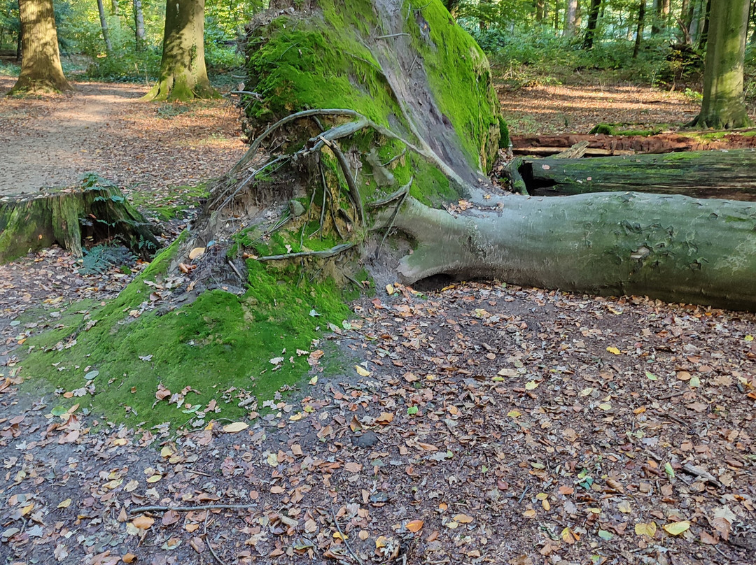 Levenspadwandeling Slangenburg-Doetinchem必去景点