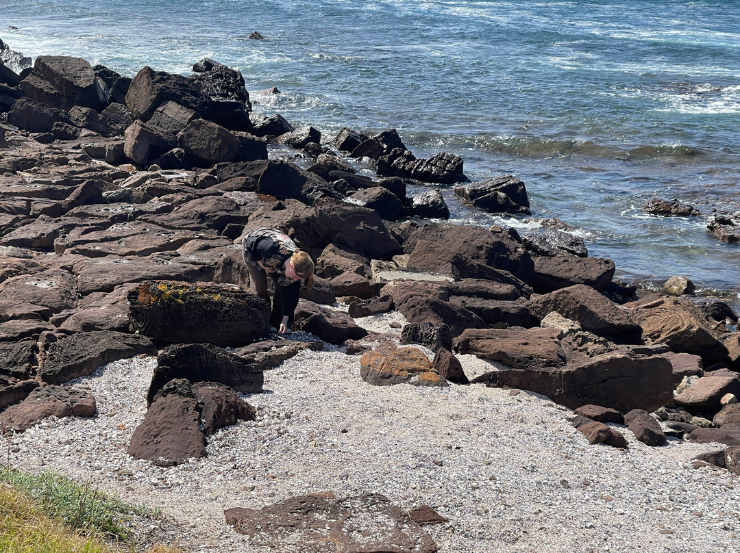 Shellharbour Village Motel主图