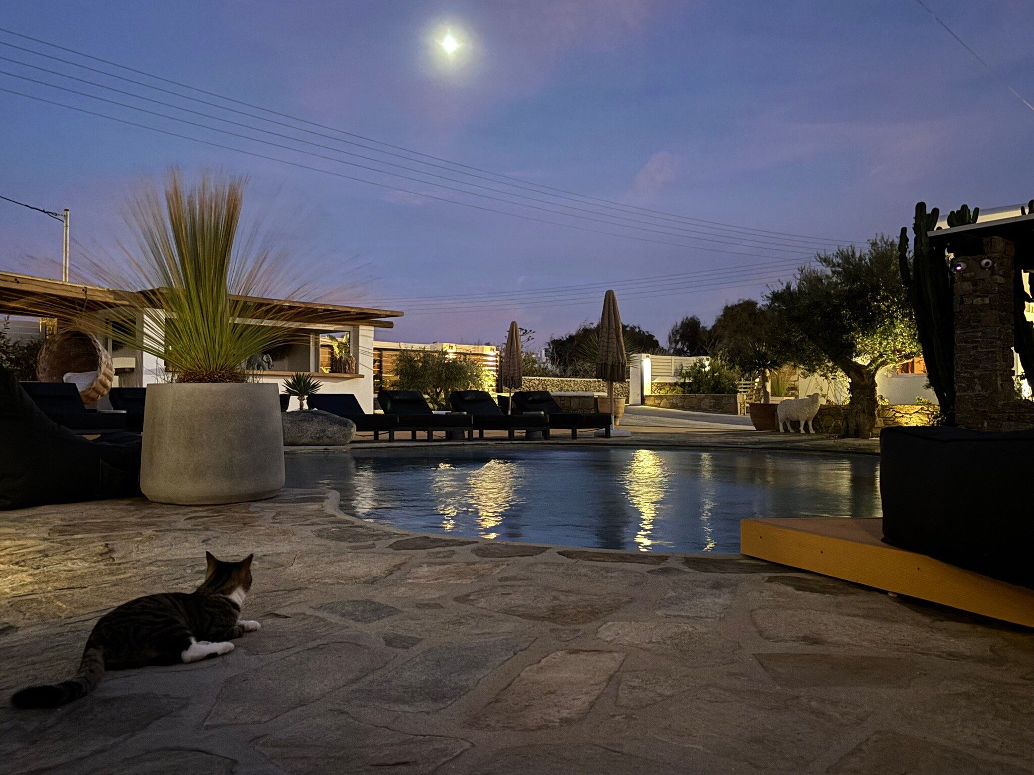 Olive Mykonos Villas-官方