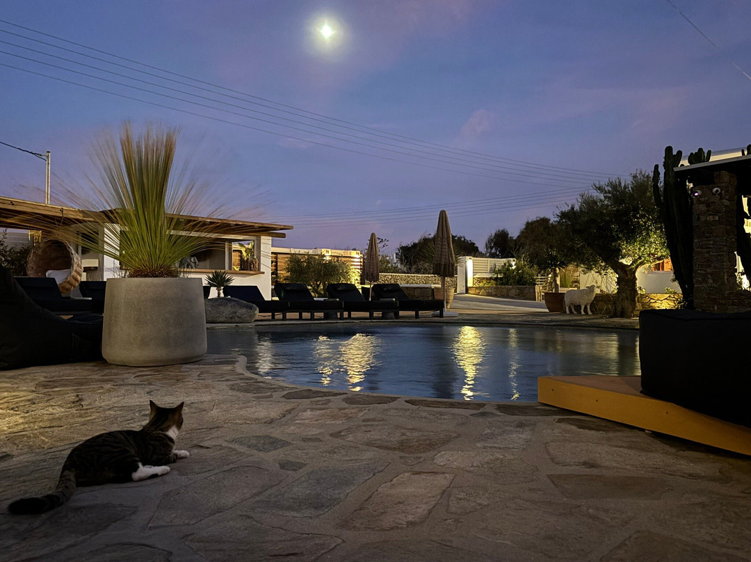 Olive Mykonos Villas主图