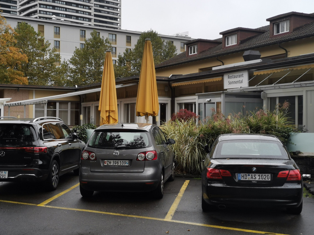 Sorell Hotel Sonnental主图