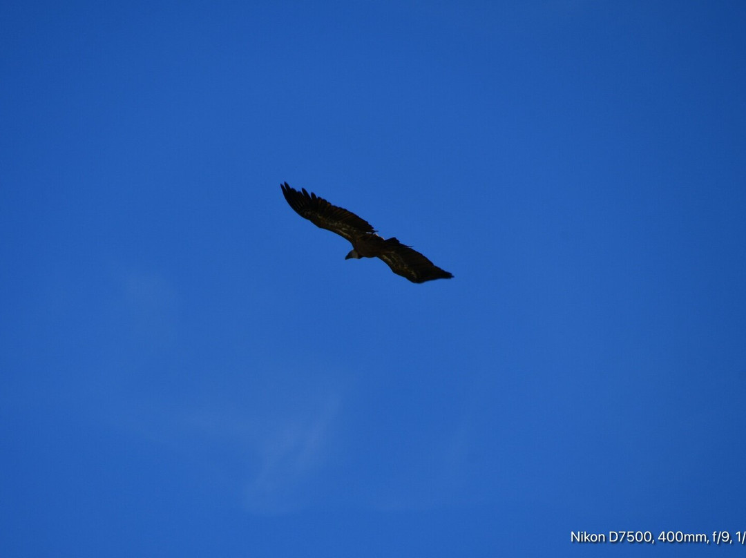 乌尔巴萨山脉自然公园-纳瓦拉必去景点