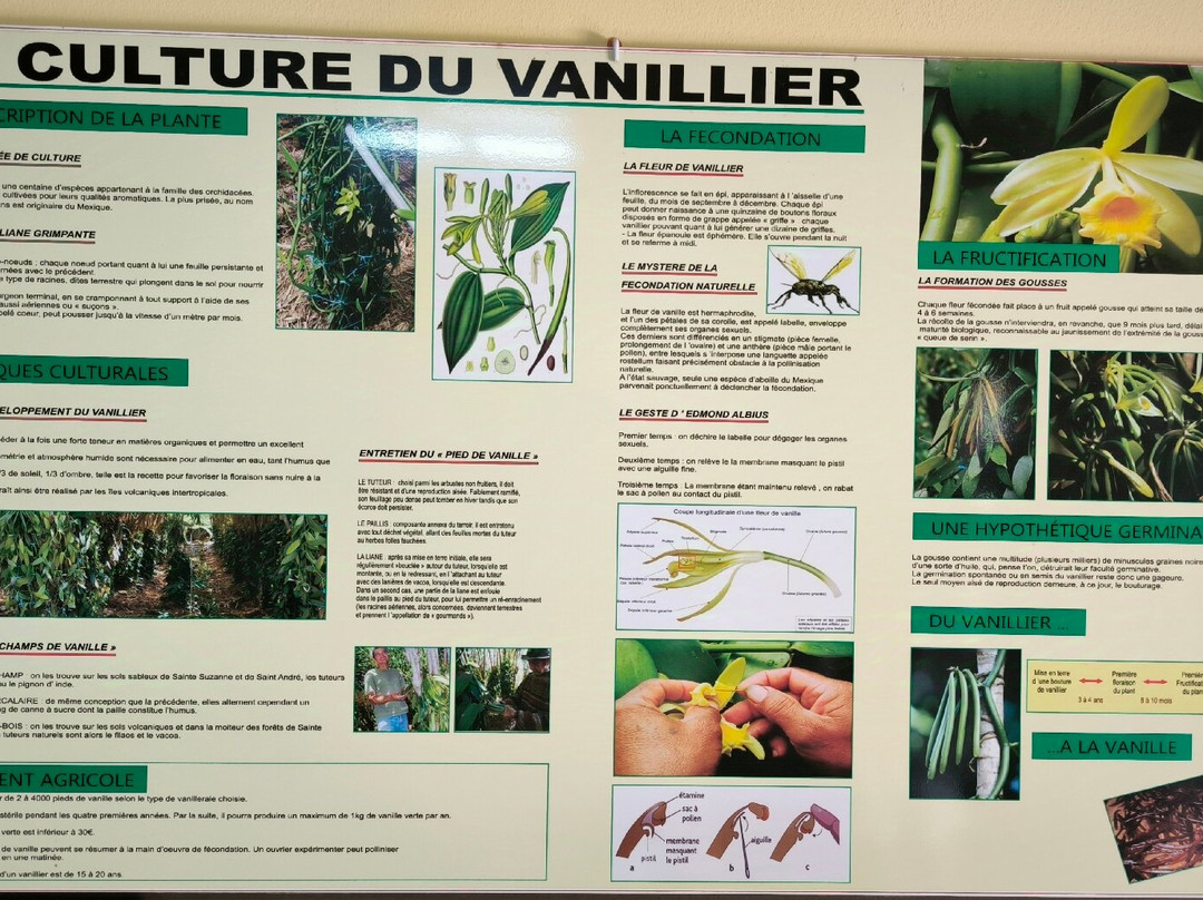 Plantation Vanille Rouloff景点图片