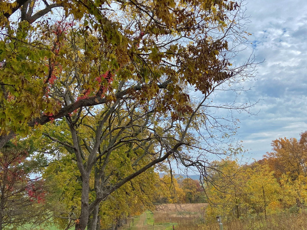 Sky Meadows State Park-Delaplane必去景点