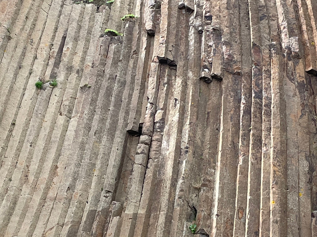 Porto Santo Buggy Adventure-Porto Santo Island必去景点