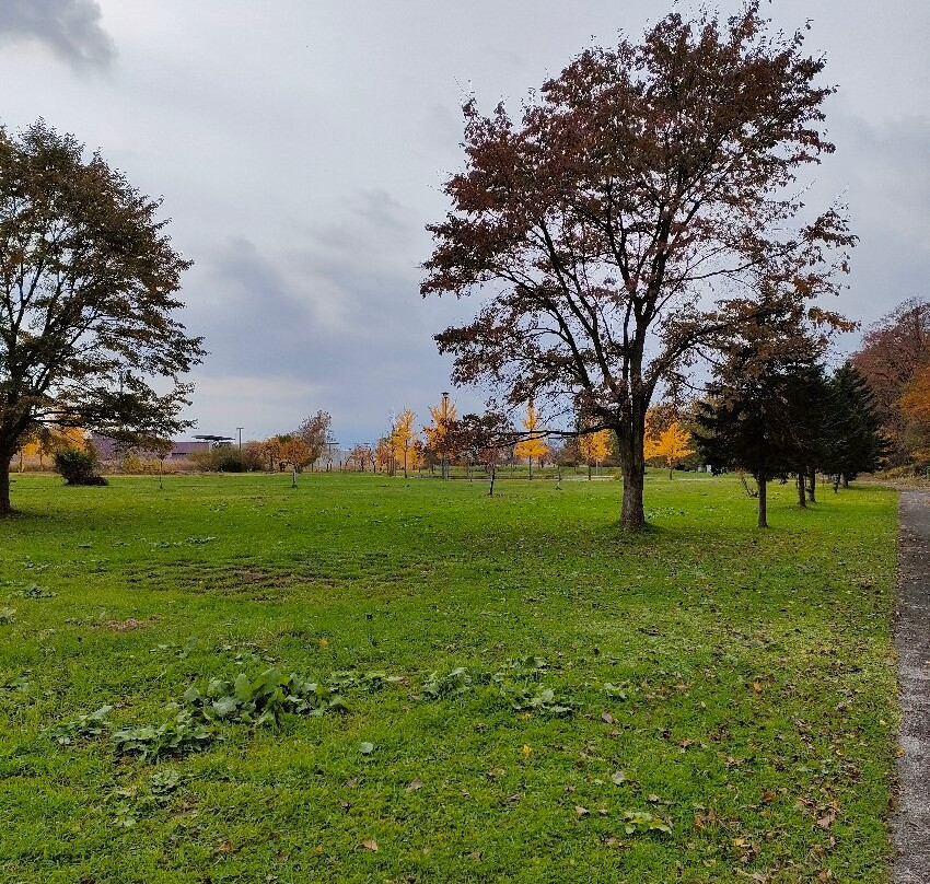 Takikawa Higashi Park-泷川市必去景点