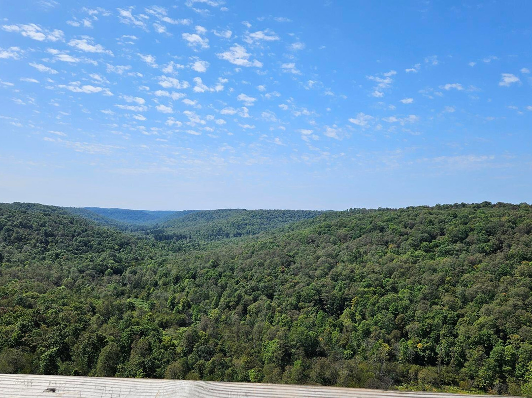 Kinzua Bridge State Park景点图片