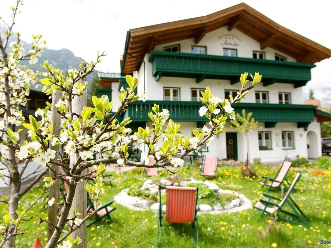莫妮卡生物地方旅馆
