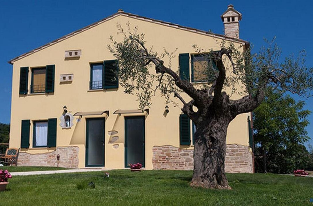 La Tana del Cinghiale