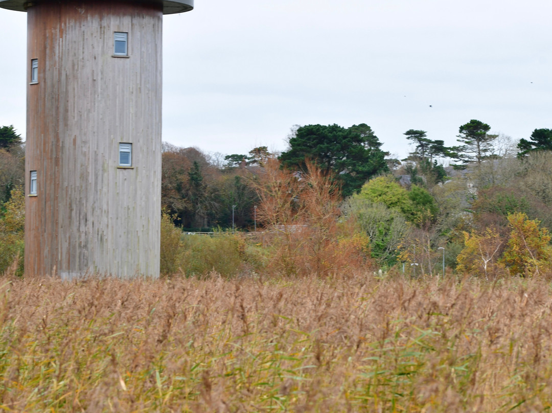 Tralee Bay Wetlands Eco and Activity Park-特拉利必去景点