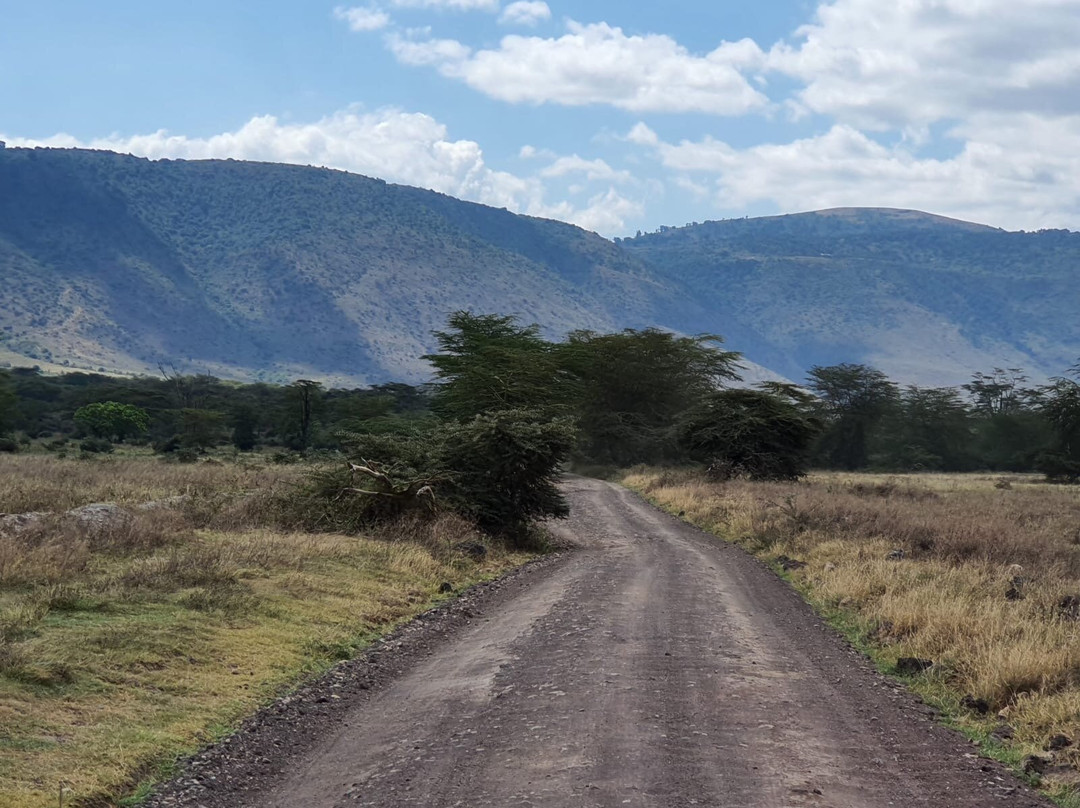 Explorian Safaris-莫西必去景点