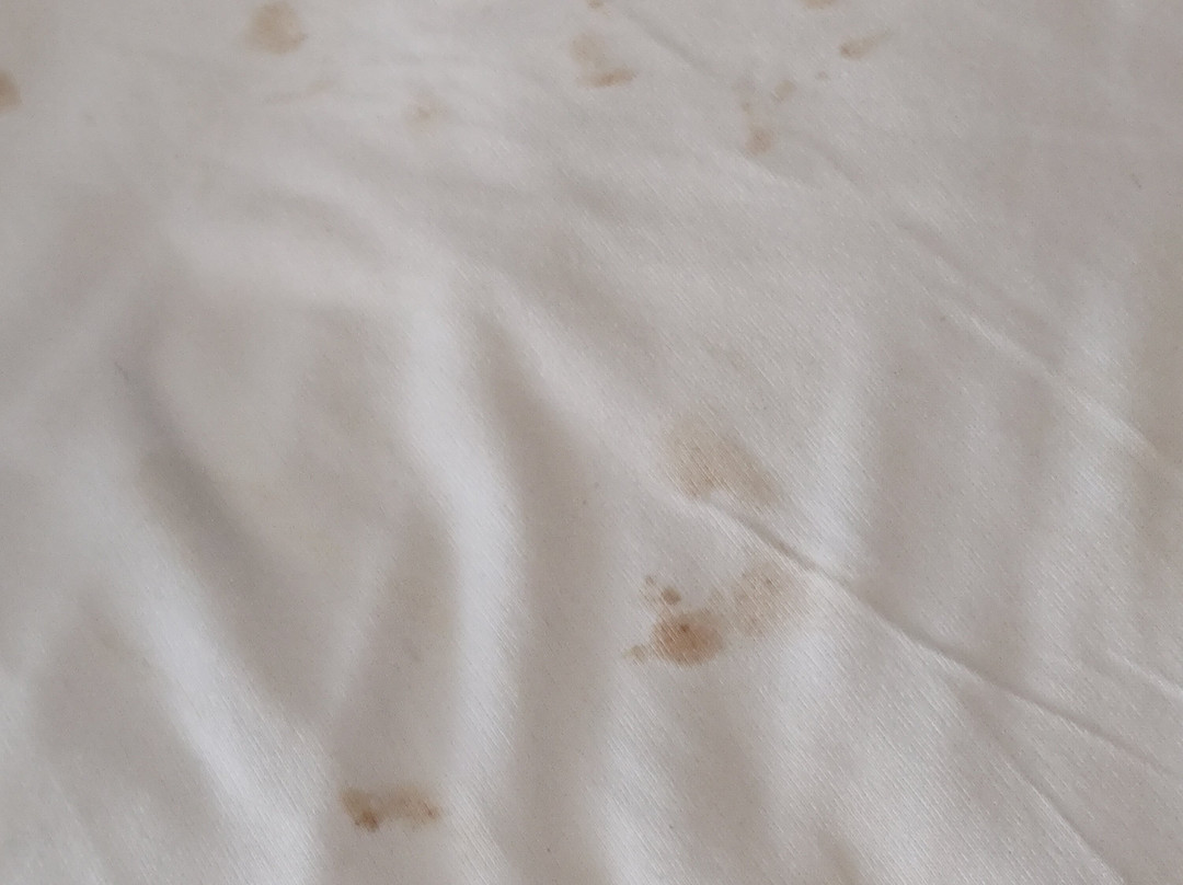 Hampton Inn Lumberton主图