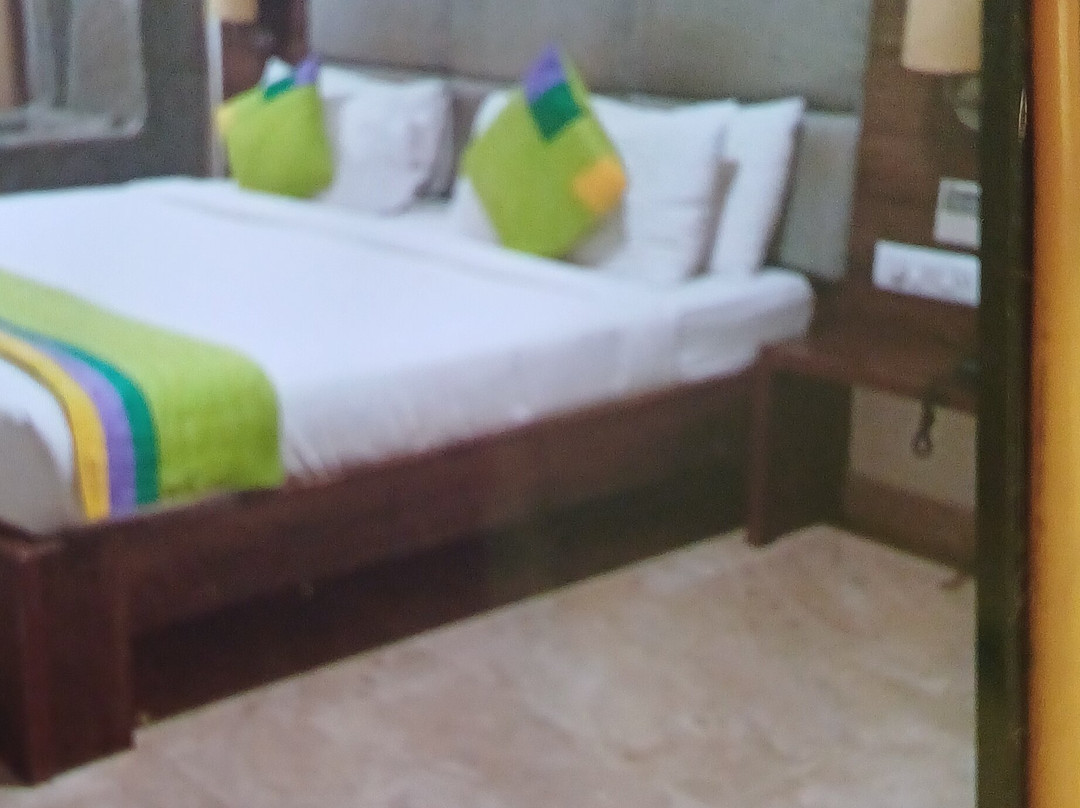 Treebo Trend PL Grand主图