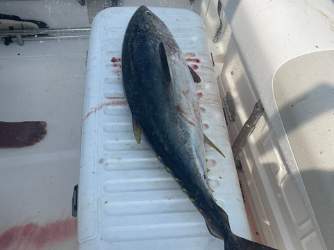 Fish Crew Huatulco-Crucecita必去景点