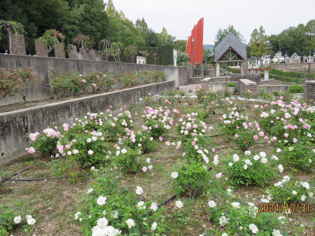 Aramaki Rose Garden-伊丹市必去景点