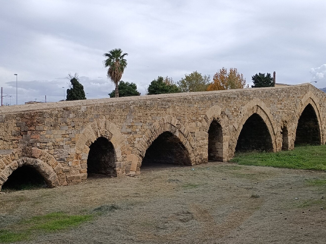 Ponte dell'Ammiraglio景点图片