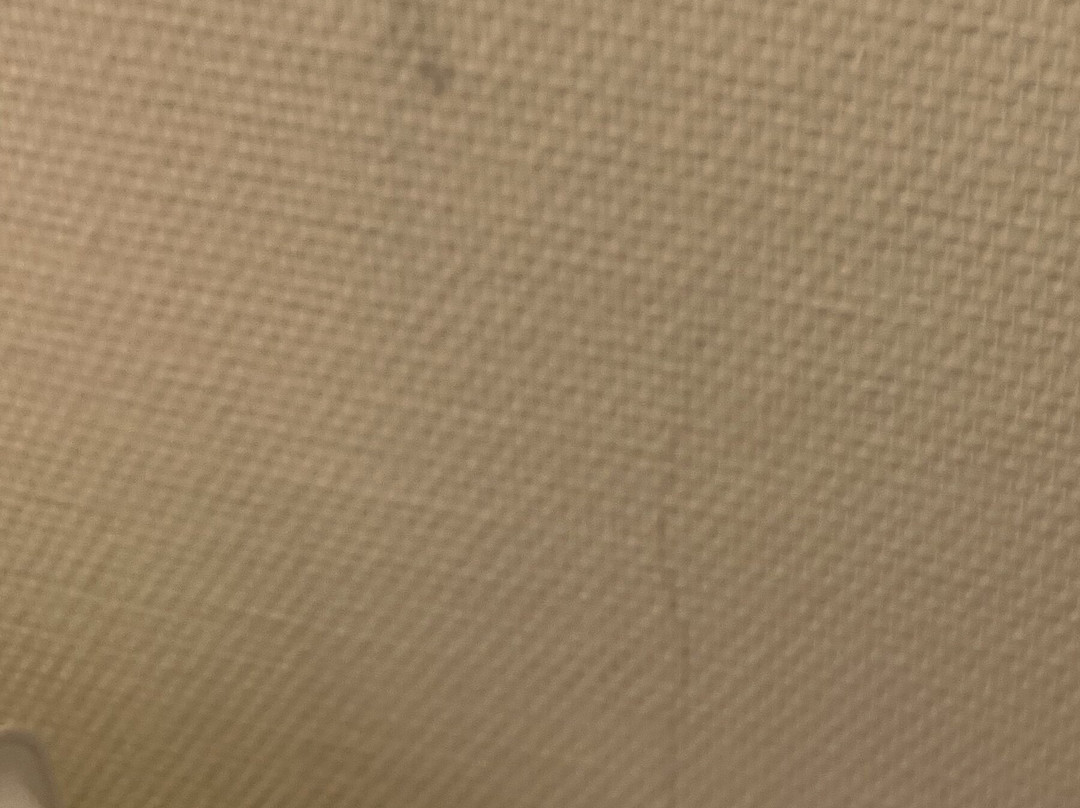 公园由雷迪森酒店美因茨主图