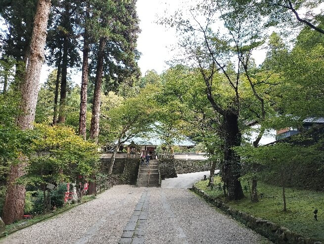 Kojakuji Temple-丰田市必去景点