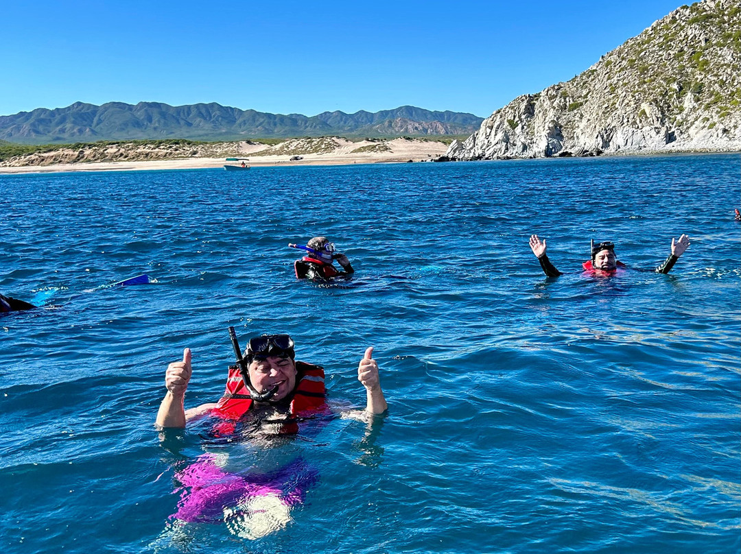 Cabo Pulmo Adventures-Cabo Pulmo必去景点