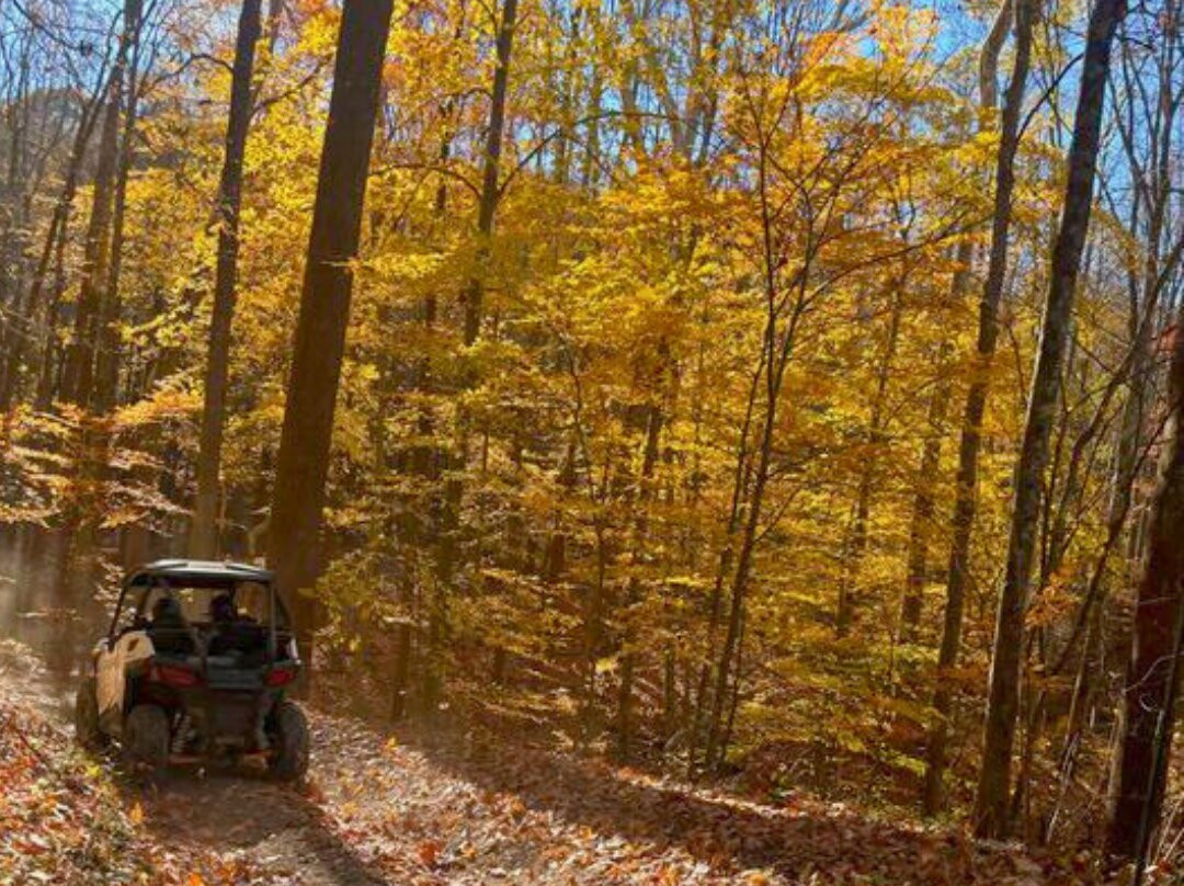 Adventure Pro Outdoors - Utv Tous景点图片