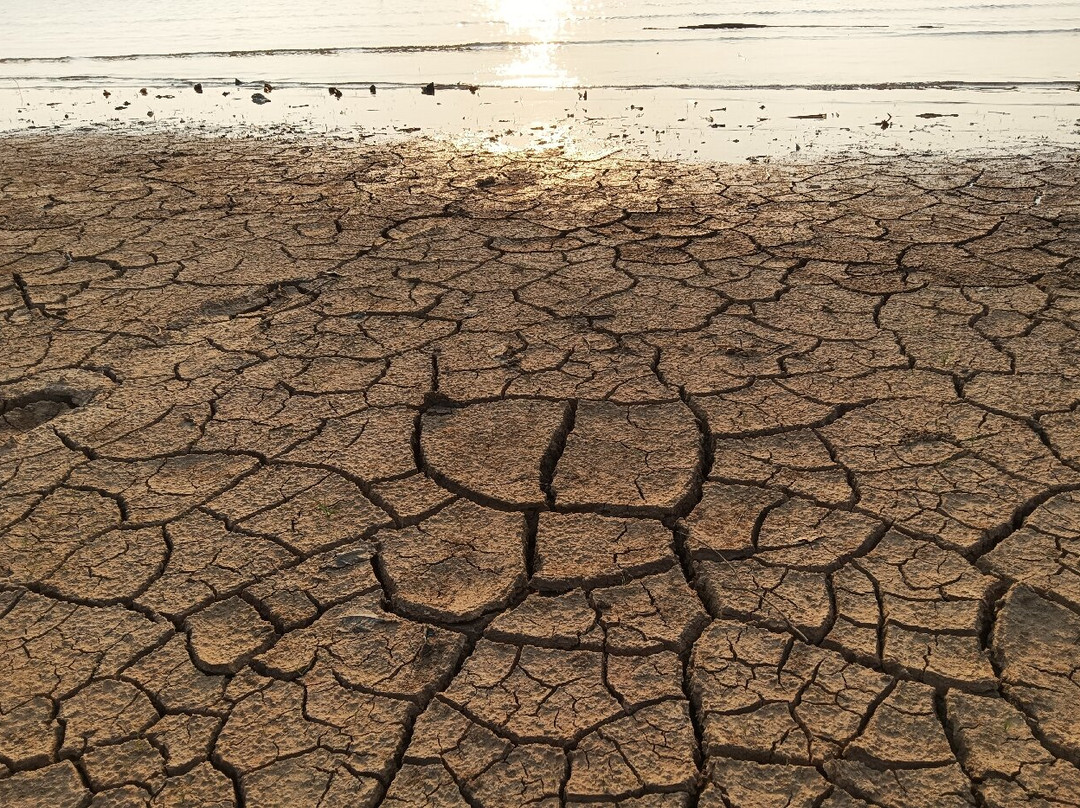 Ponta do Cururu-Alter do Chao必去景点