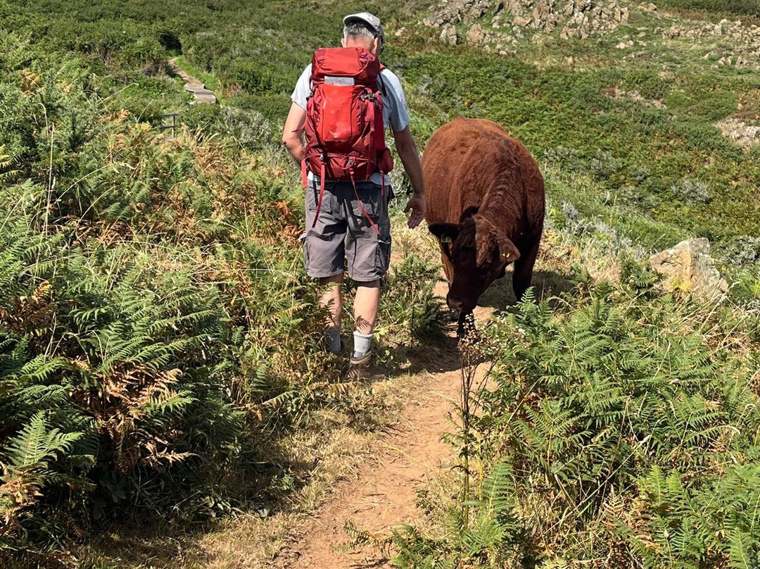 Adventureline Walking Holidays景点图片