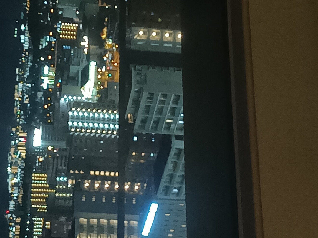 大阪堺麗都大酒店主图
