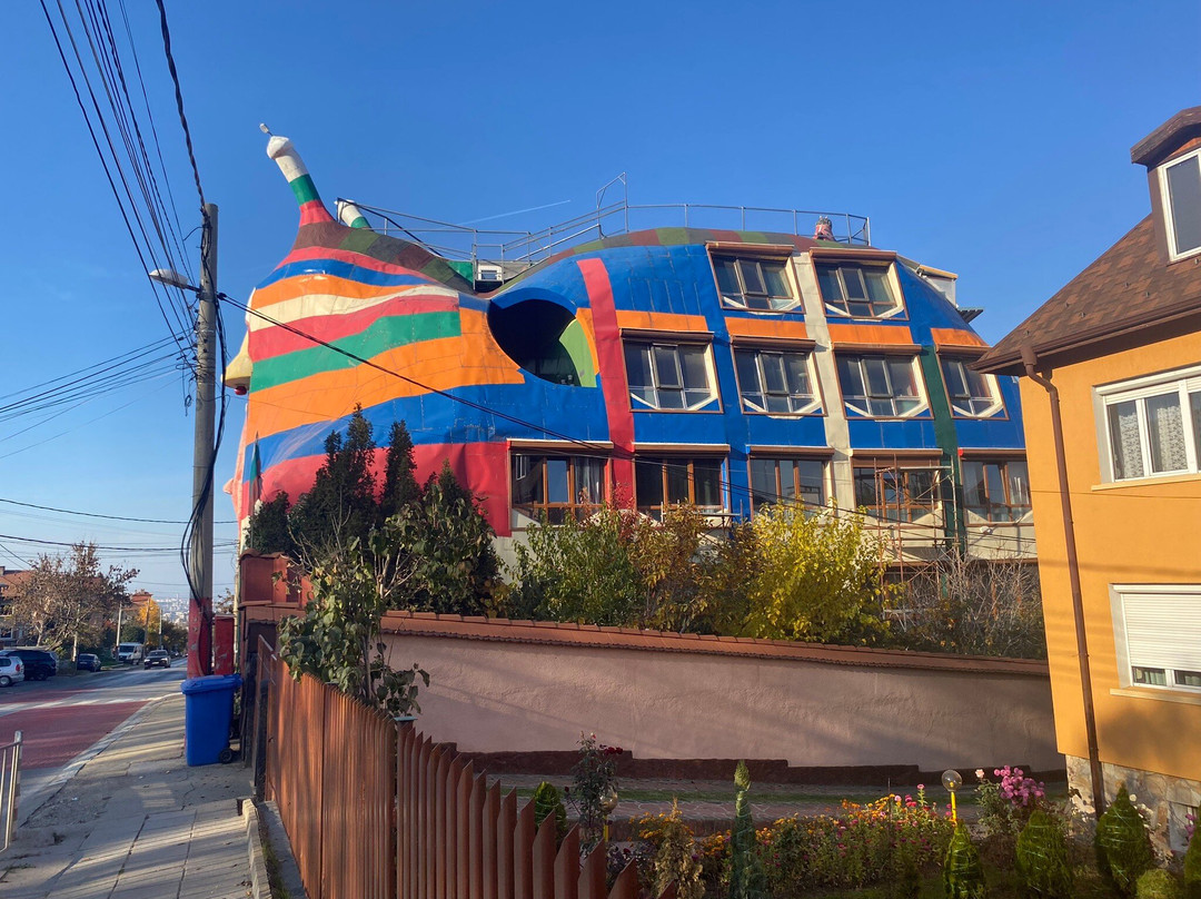 Snail Home-索非亚必去景点