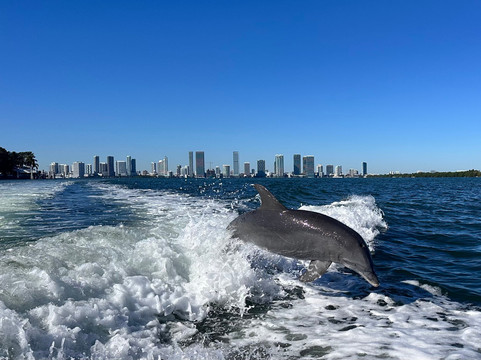 Captain J Boat Tours-迈阿密海滩必去景点