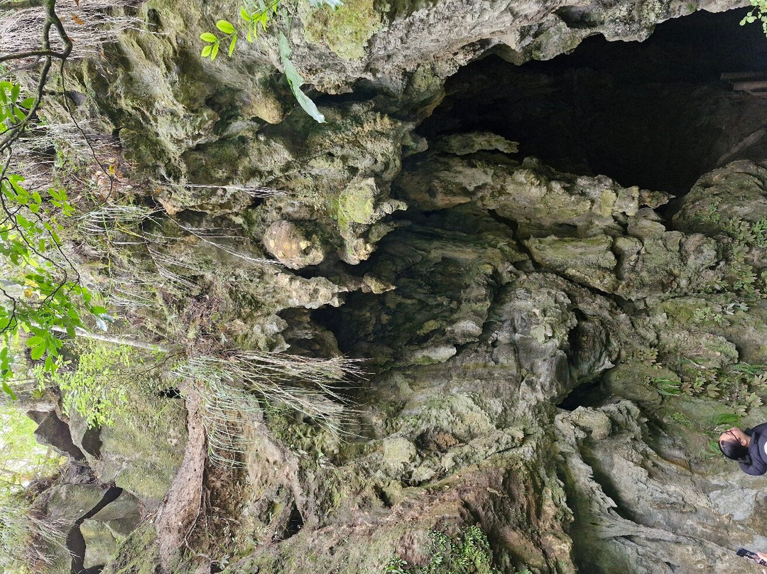 Kawiti Glow Worm Caves景点图片