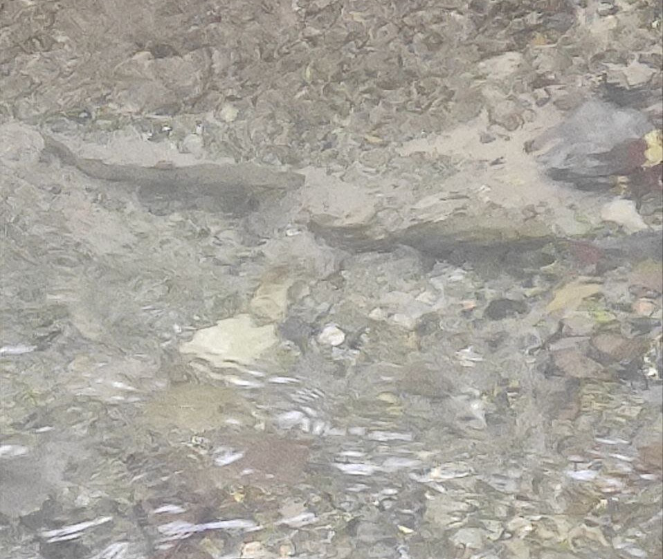 Otkharskiy Rock Monastery-Otkhara必去景点